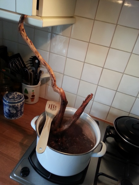 20140223_130234.jpg