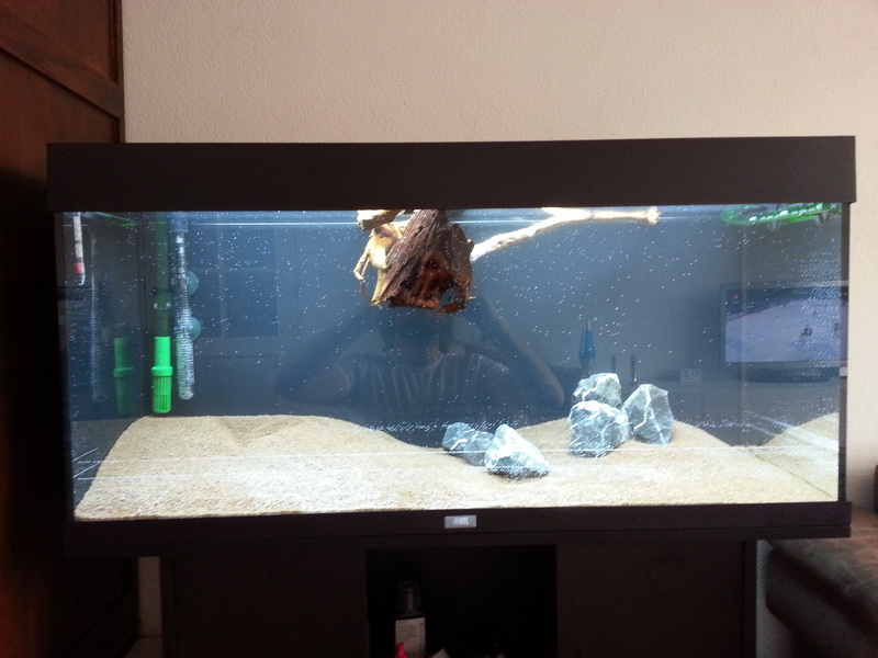 20140223_144703.jpg