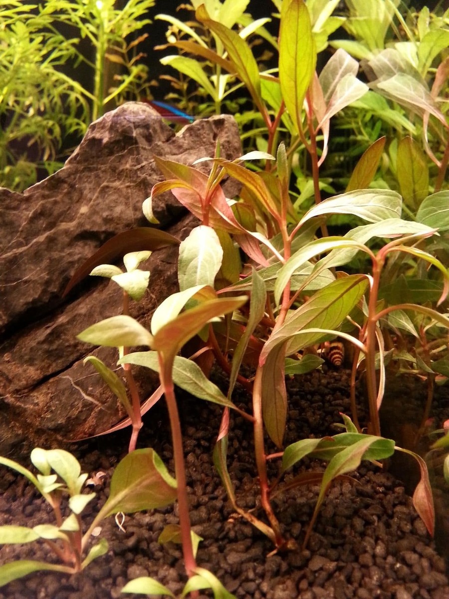 20140328_170448.jpg