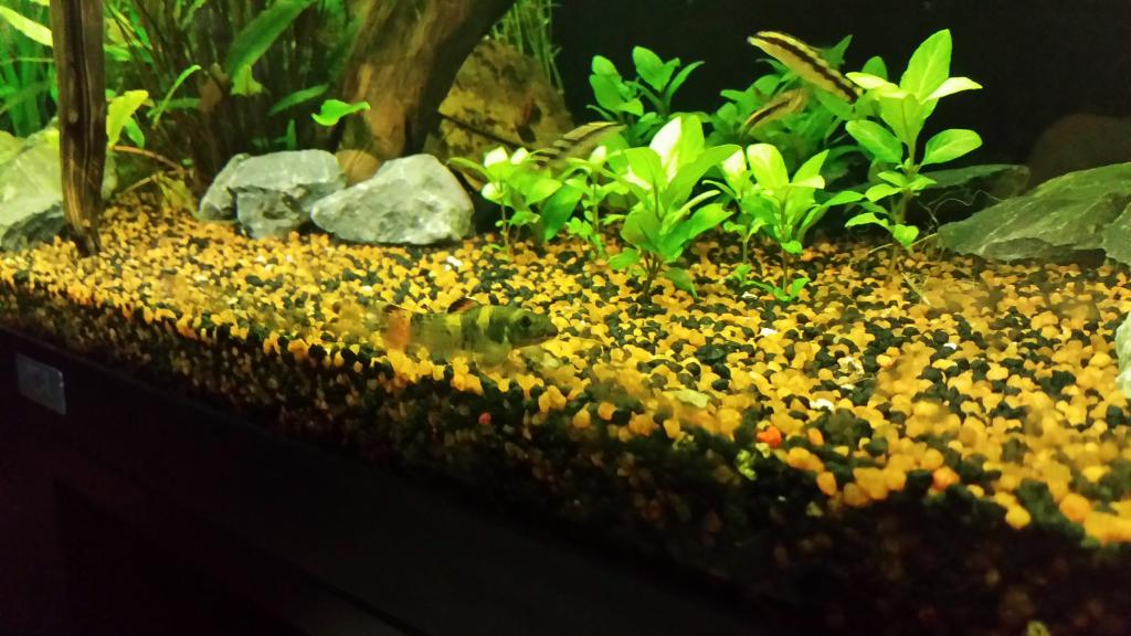 20150129_171715_zps93n9wcjl.jpg
