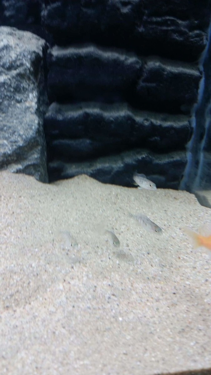 20150131_194054.jpg