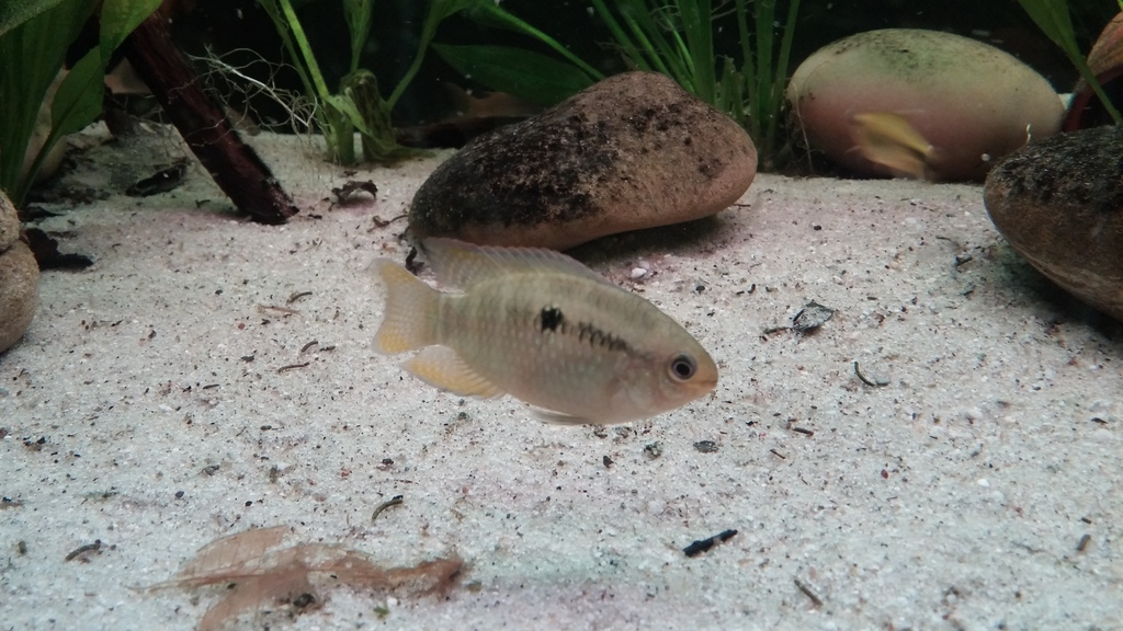 20150324_195540.jpg