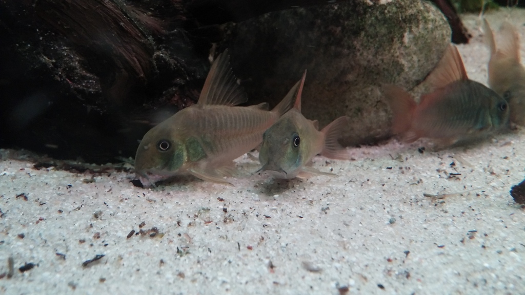 20150324_195906.jpg