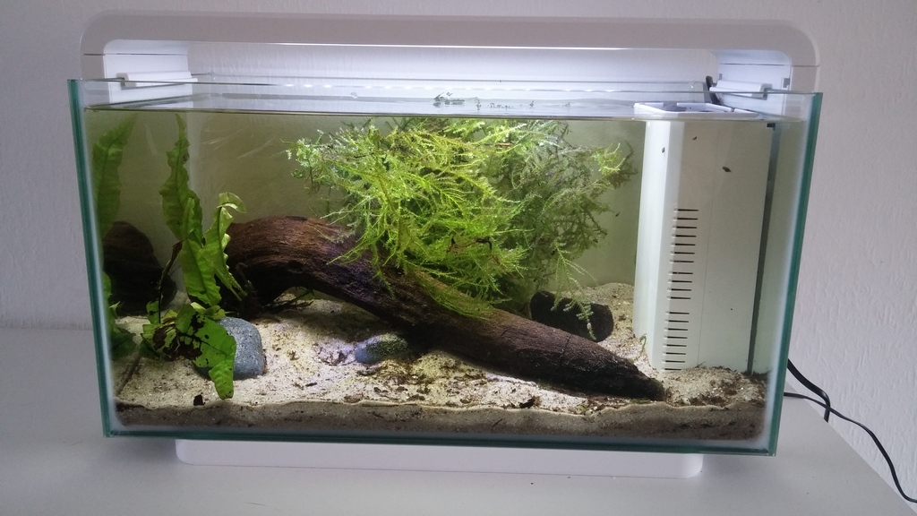 20150411_132713.jpg