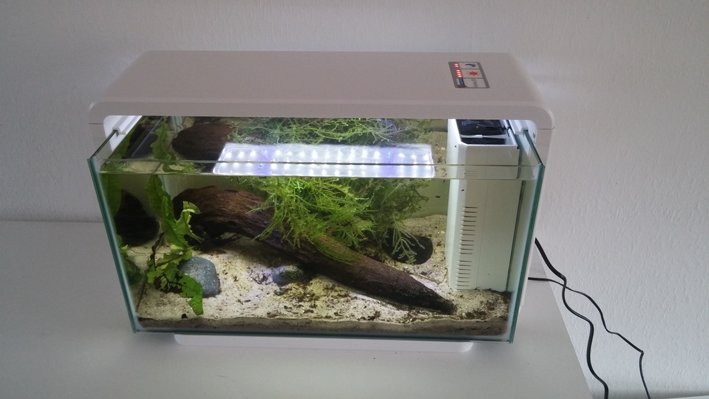 20150411_132750.jpg