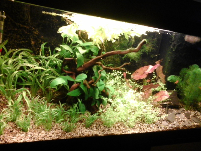 20150904_201327_zpsk0pbyssa.jpg