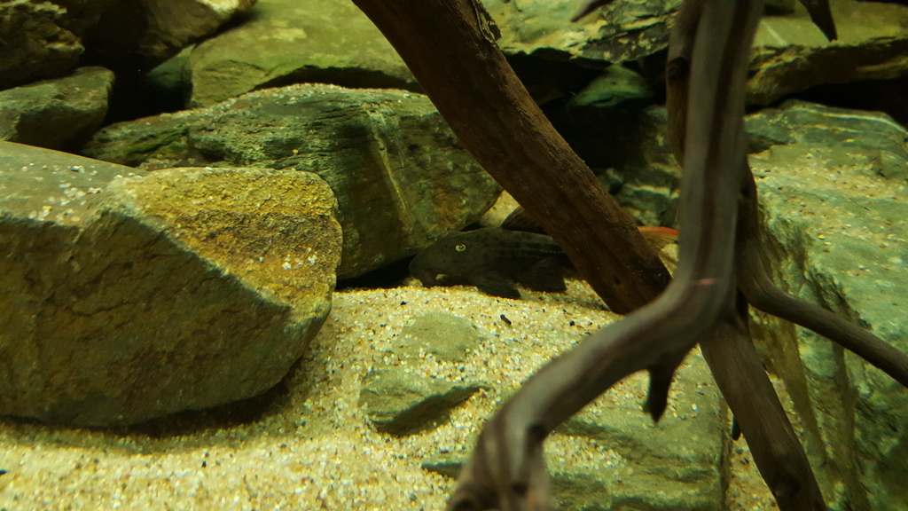 20160314_230624_zpsghylvktf.jpg