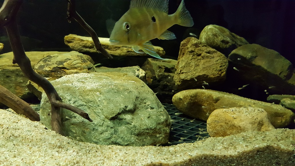 20160403_101630_zpseiinaatu.jpg