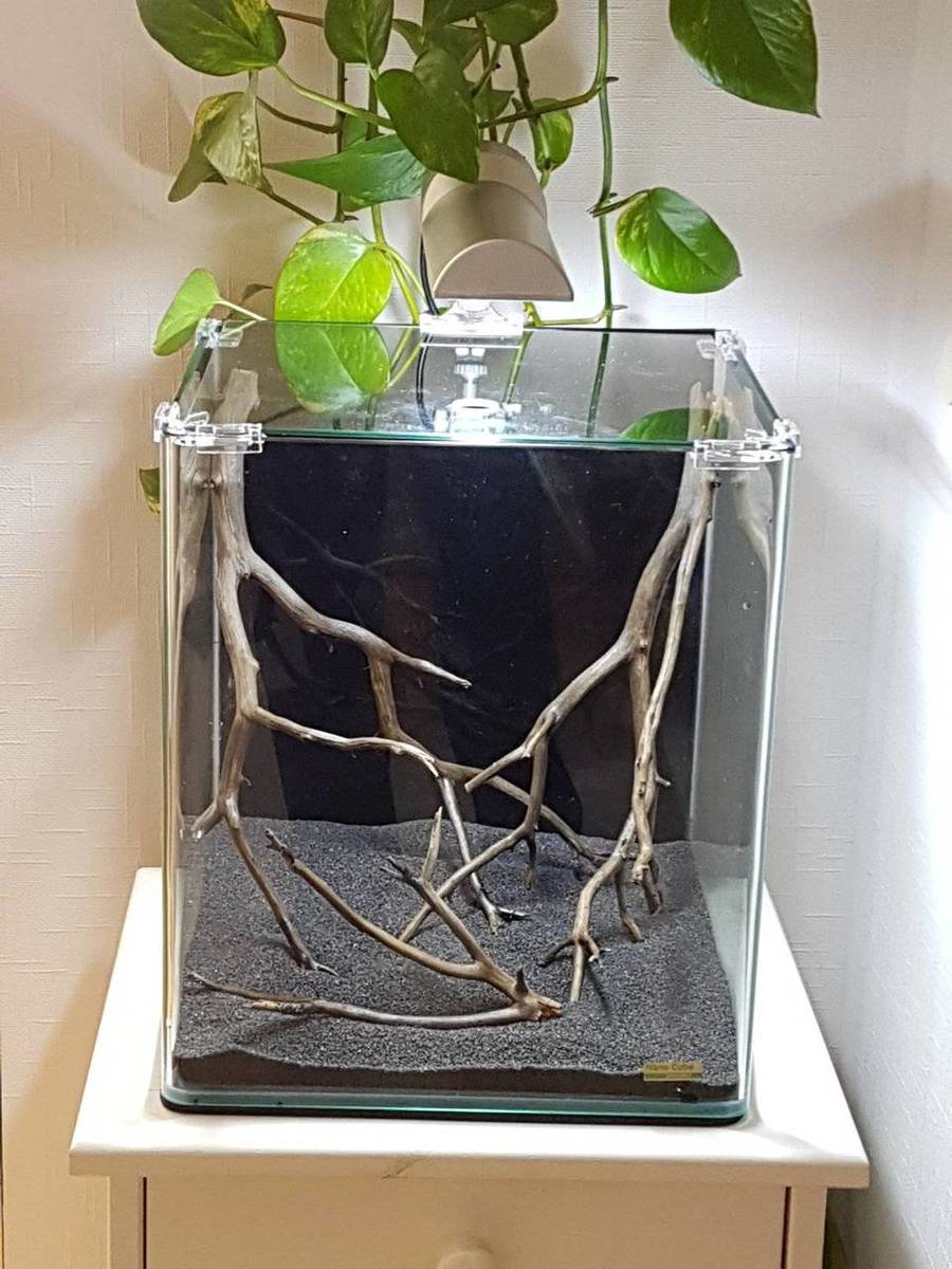 2017-07-28 17.03.38.jpg