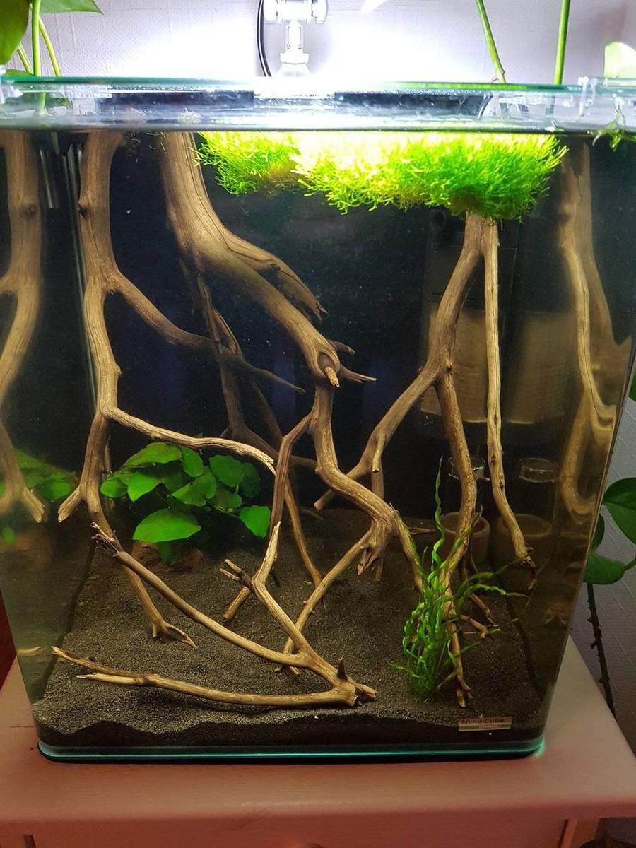 2017-08-08 21.02.13.jpg