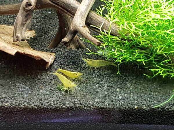 2017-10-23 14.38.46.jpg