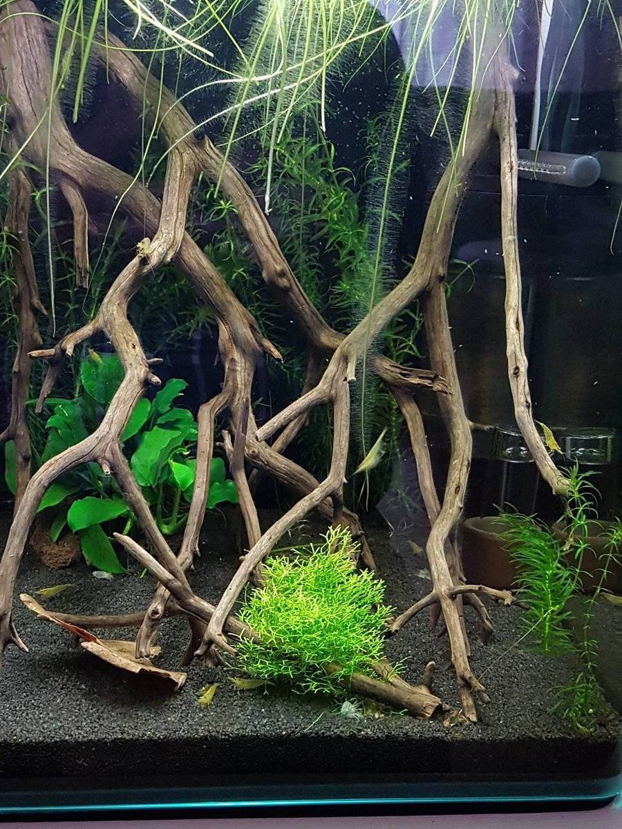 2017-10-23 14.54.58.jpg