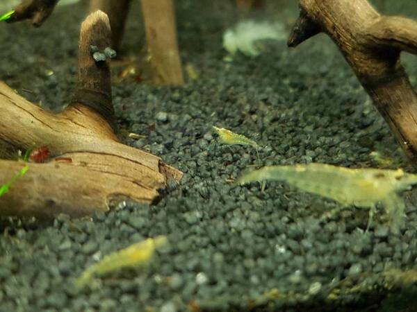 2017-11-04 19.18.09.jpg