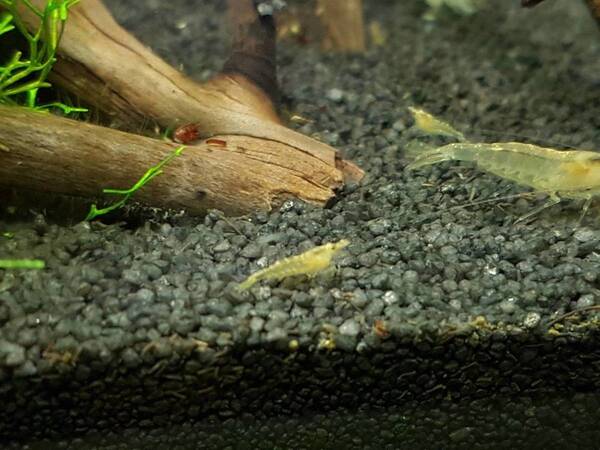 2017-11-04 19.18.23.jpg