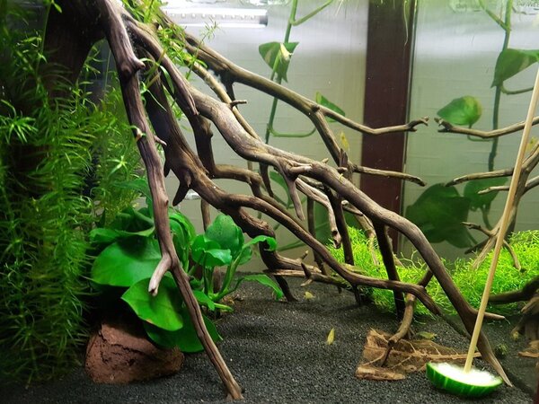 2017-11-05 17.25.12.jpg