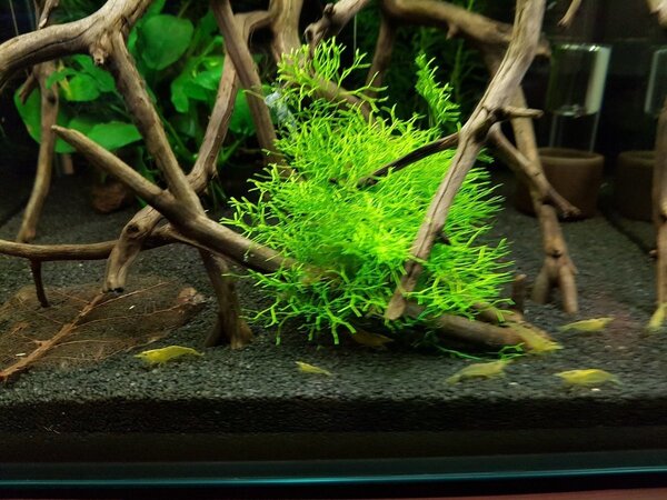 2017-11-14 16.06.56.jpg