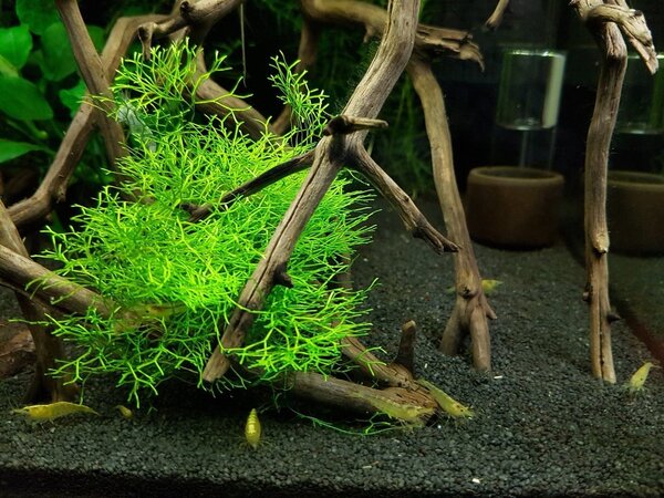 2017-11-14 16.15.39.jpg