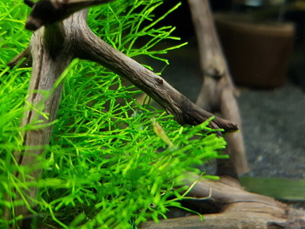 2017-12-06 12.56.20.jpg