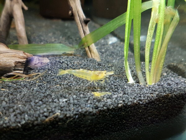 2017-12-06 12.56.26.jpg