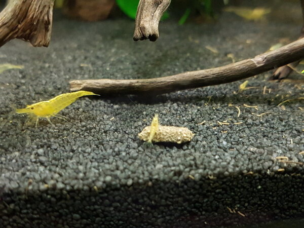 2017-12-06 12.56.36.jpg