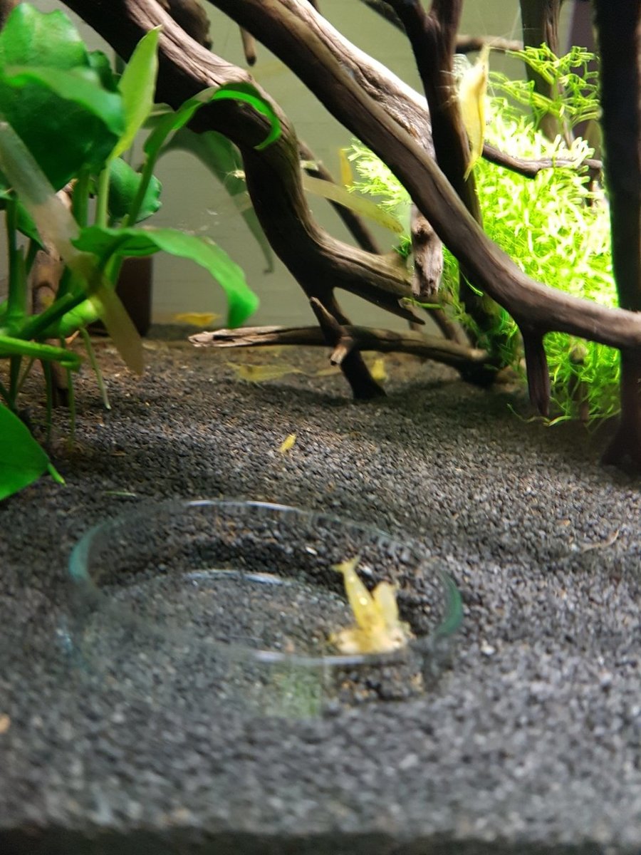 2017-12-10 12.58.18.jpg