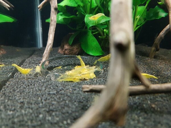 2017-12-14 15.07.12.jpg