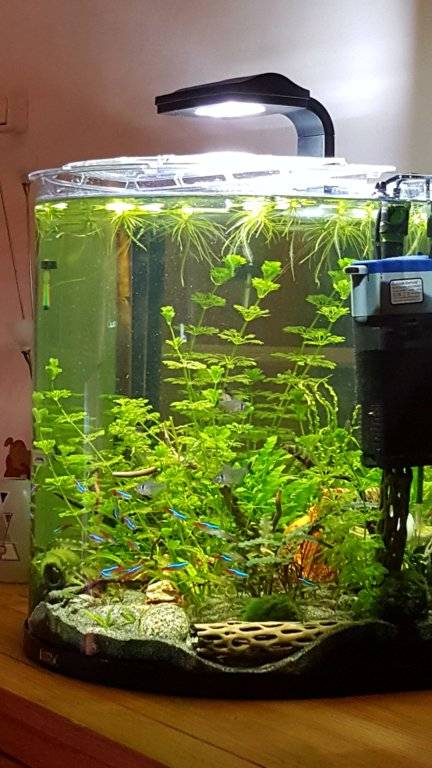 20170723_215539 [134040].jpg