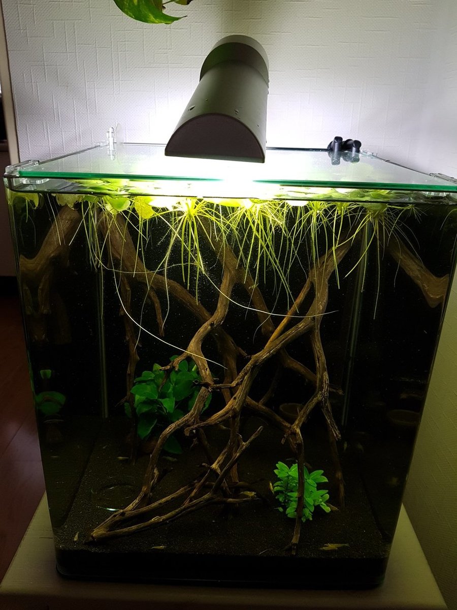 2018-03-08 12.48.18.jpg