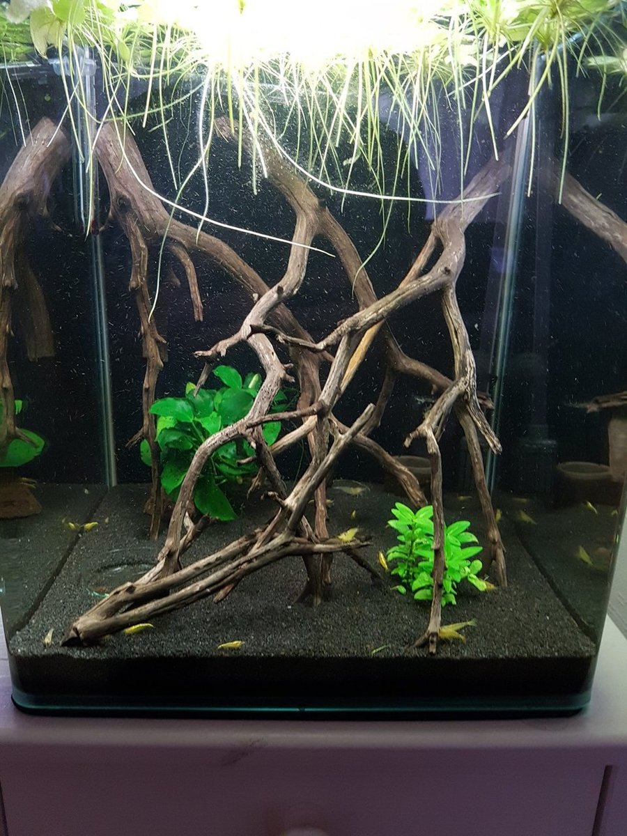 2018-03-08 12.48.25.jpg