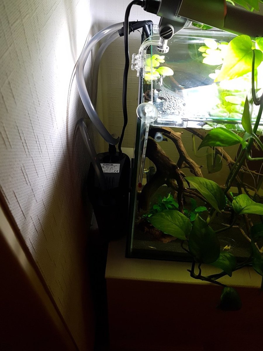 2018-03-08 21.23.55.jpg