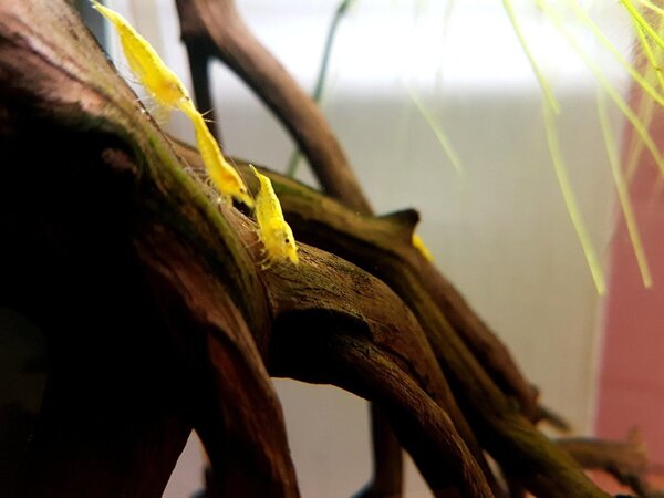 2018-04-24 13.31.59.jpg