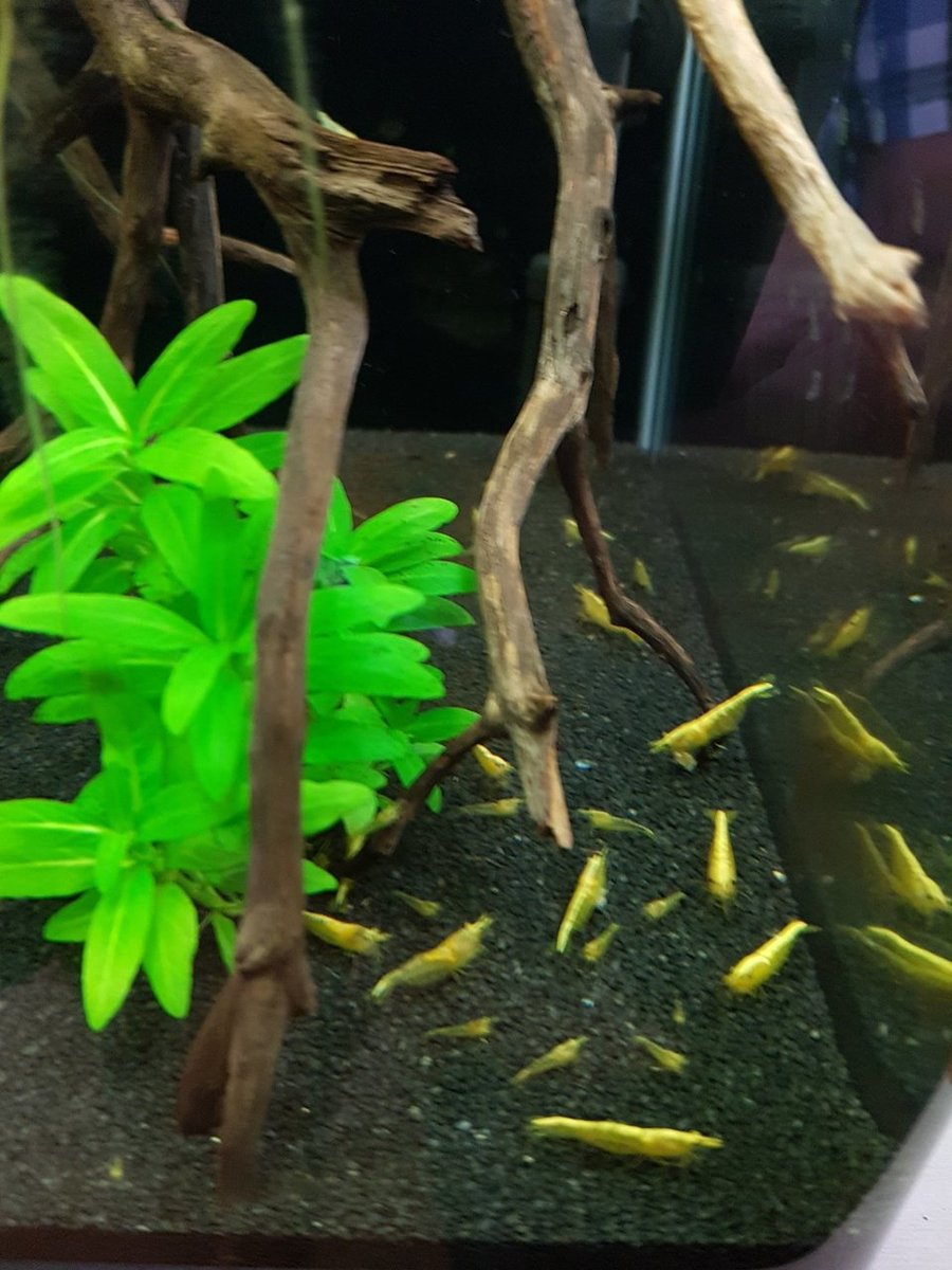 2018-06-16 13.41.27.jpg