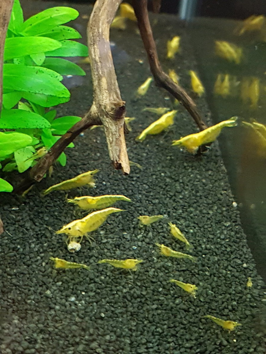 2018-06-16 13.43.53.jpg