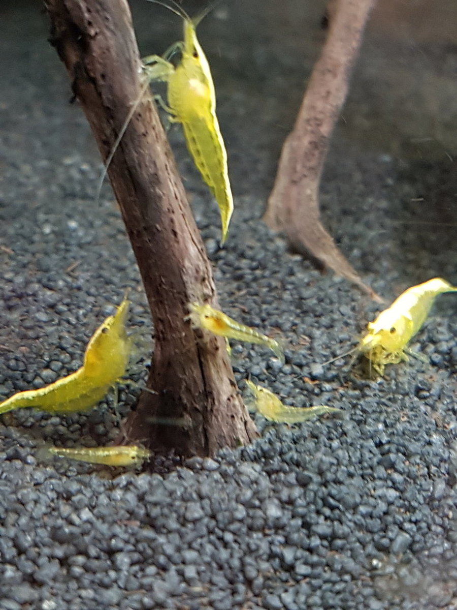 2018-06-23 12.38.48.jpg