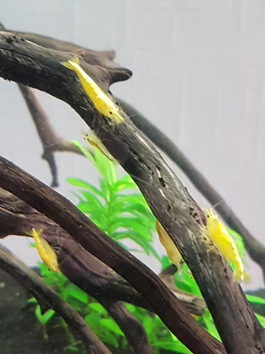 2018-06-23 12.46.22.jpg