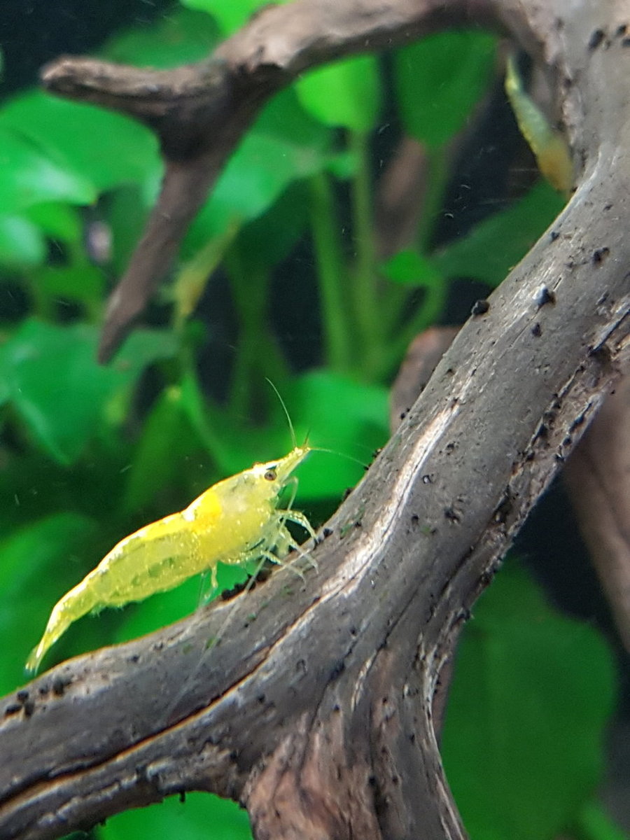 2018-06-23 12.49.25.jpg