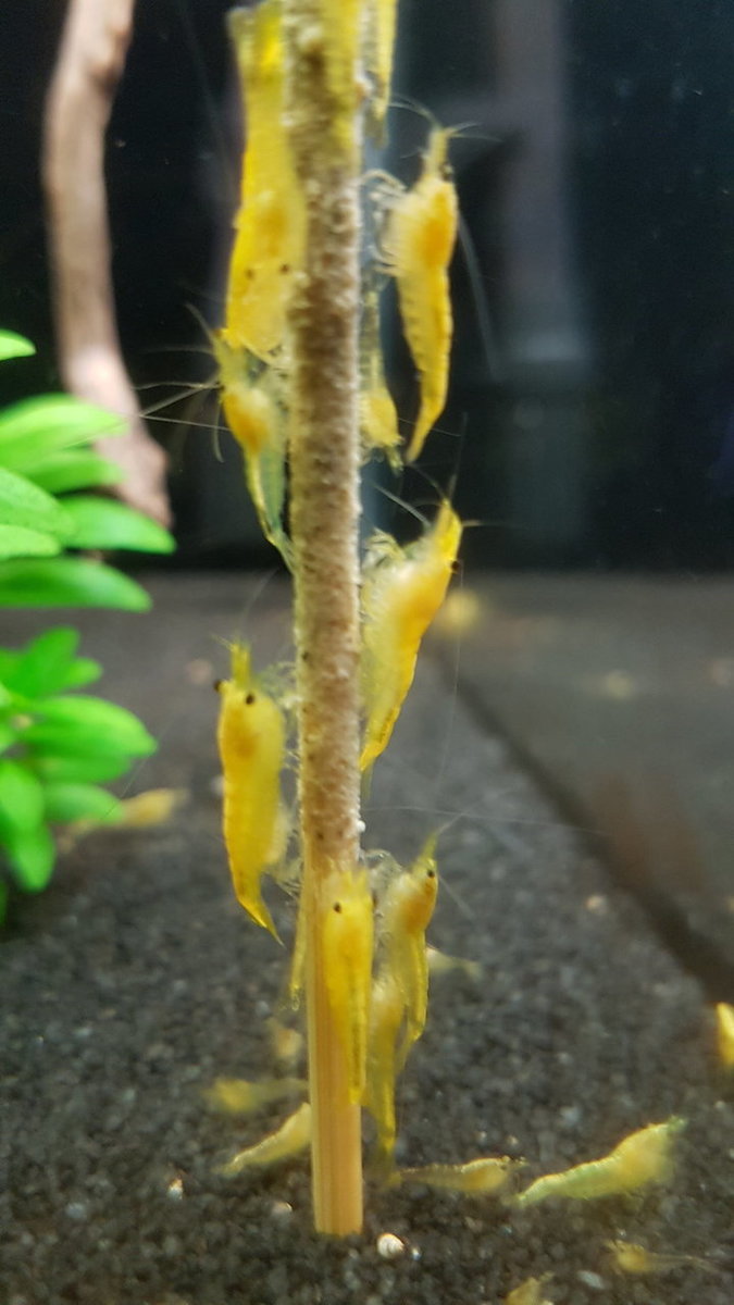 2018-08-16 19.58.08.jpg