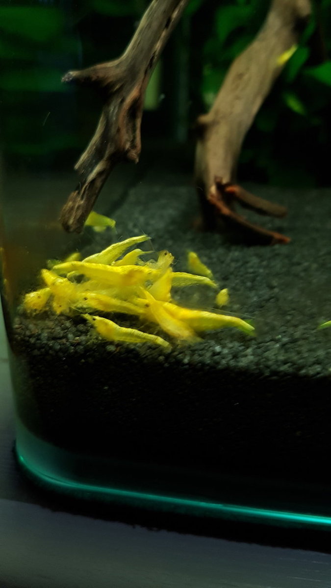 2018-11-02 16.47.54.jpg