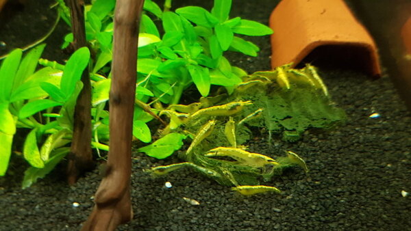 2018-11-30 19.35.24.jpg