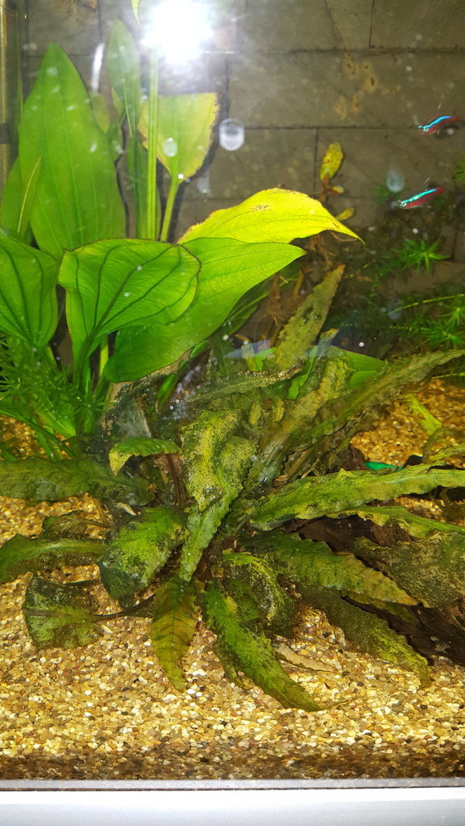 20180102_142702.jpg