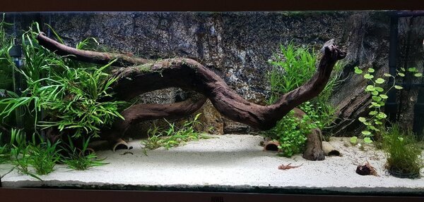 20180514_140655.jpg