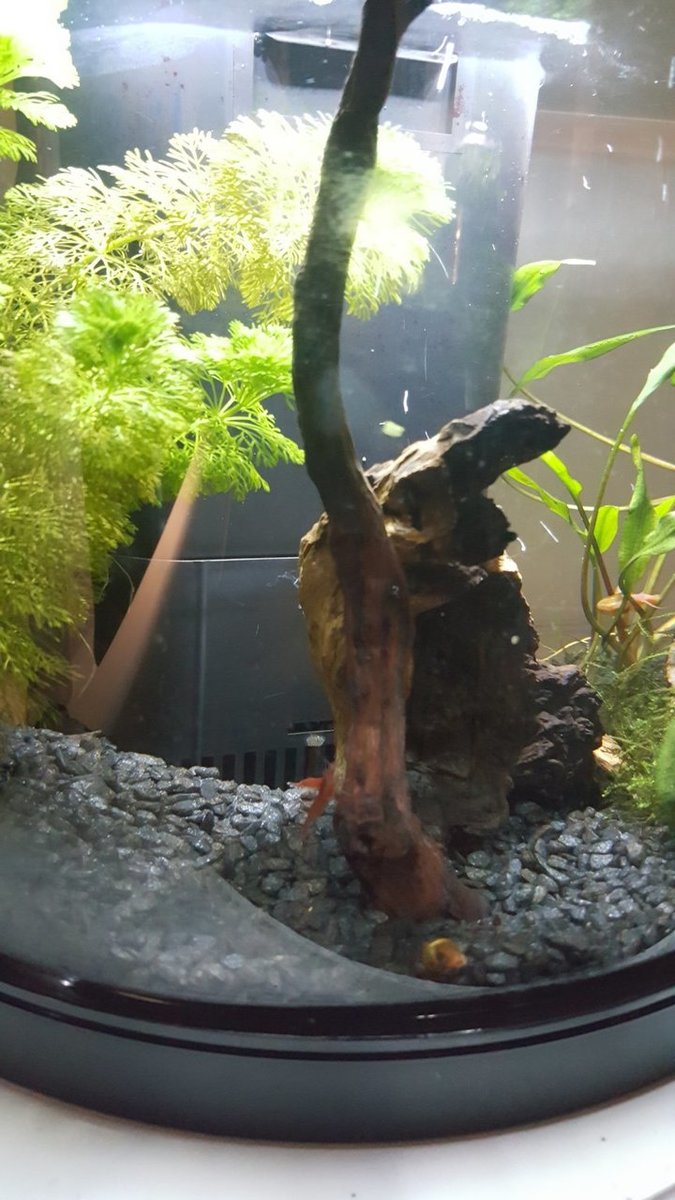 20180515_203938.jpg