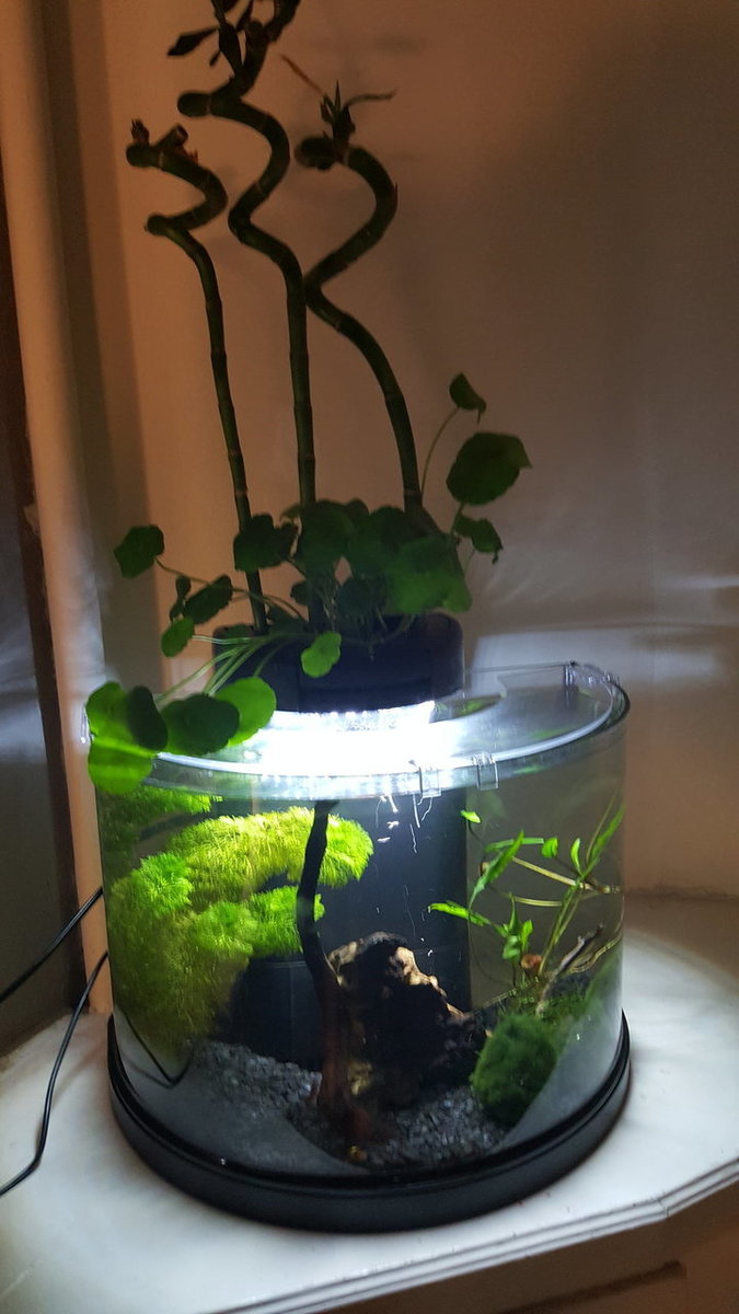 20180515_203953.jpg