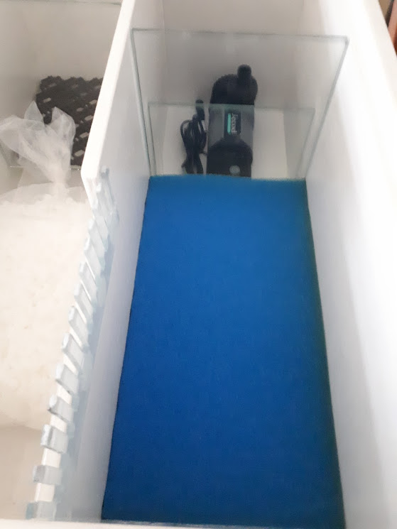 20180619_110603.jpg