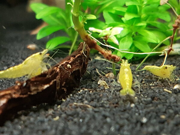 2019-03-12 15.16.53.jpg