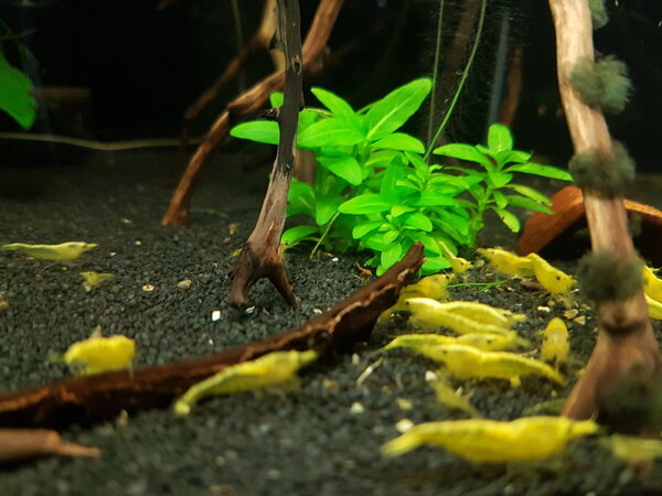 2019-04-29 19.37.30.jpg