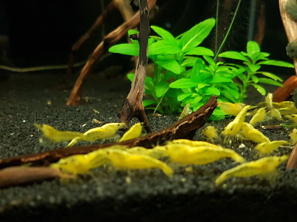 2019-04-29 19.47.43.jpg