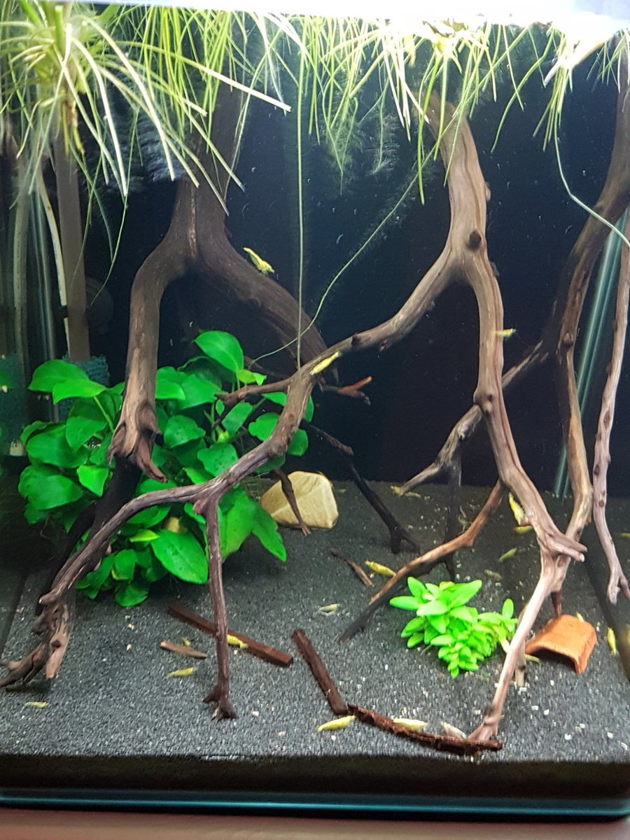 2019-05-03 21.53.17.jpg