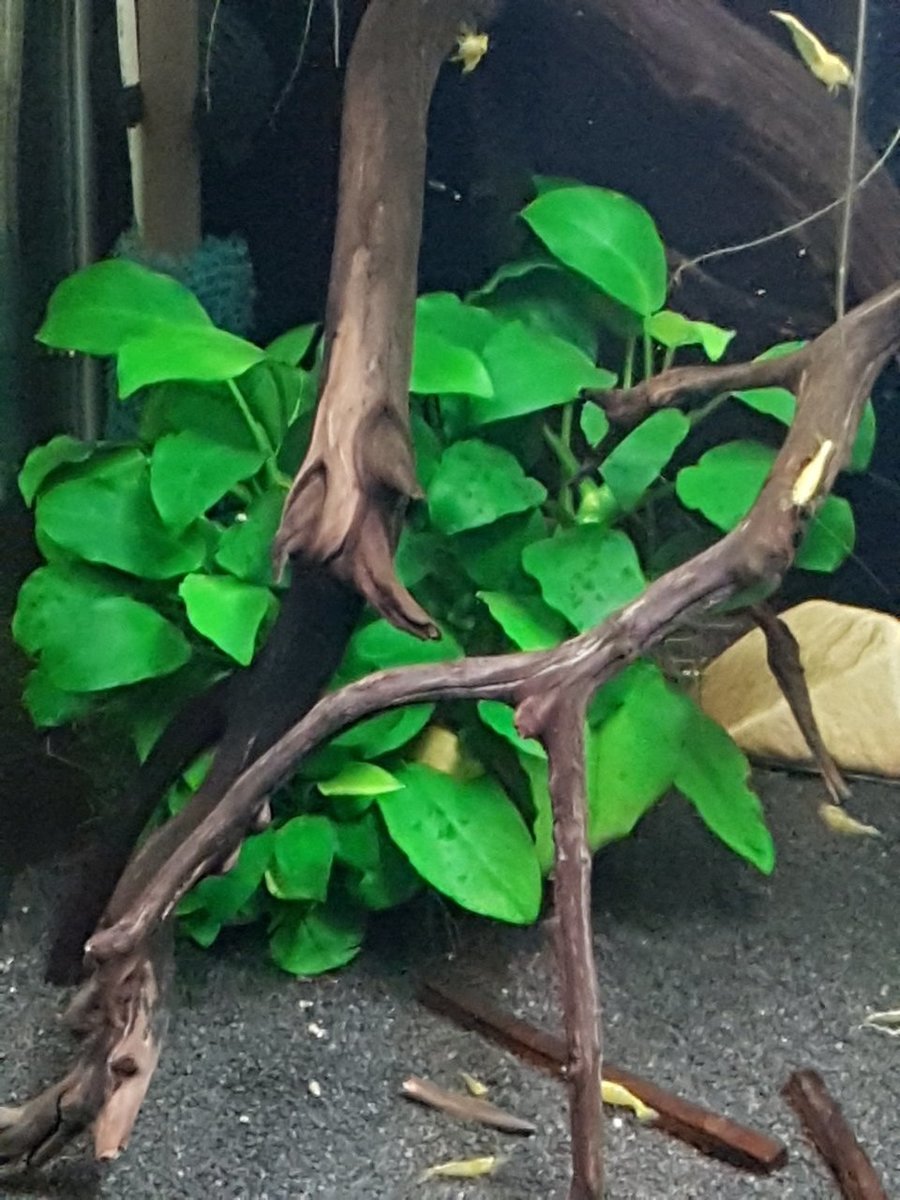 2019-05-03 21.53.36.jpg