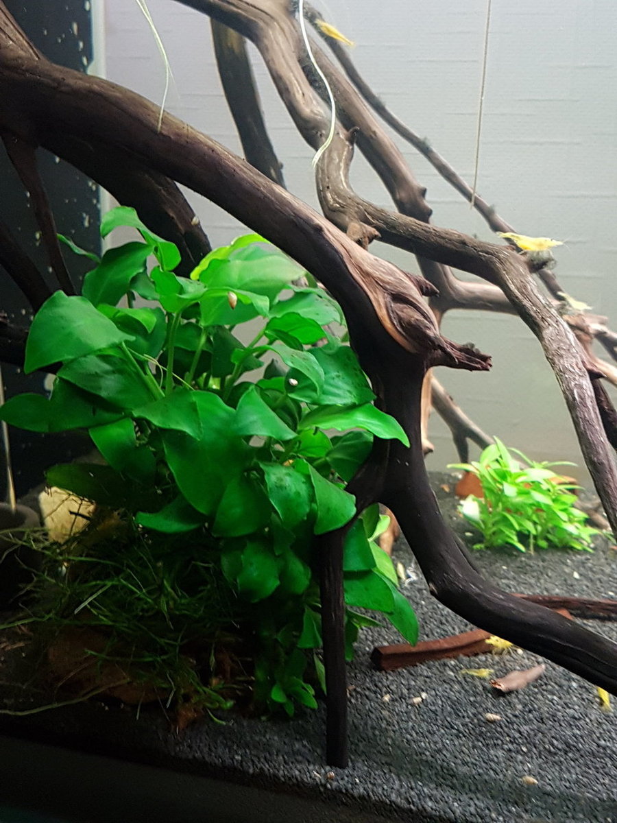 2019-05-03 21.54.05.jpg